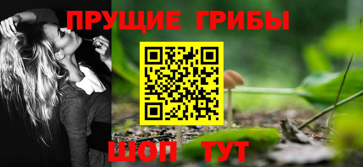 Псилоцибиновые грибы Cubensis Великий Устюг